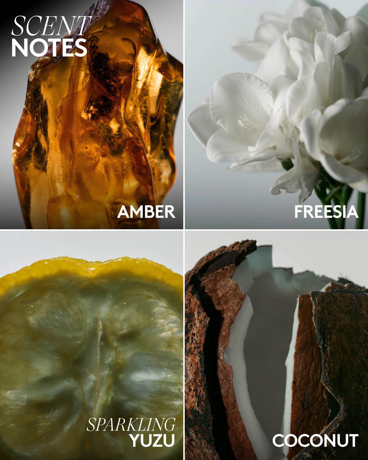 Butta Drop Hydrating Body Milk — Amber Bouquet - Image 5